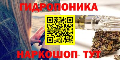 крисы Краснознаменск