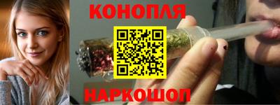 крисы Краснознаменск