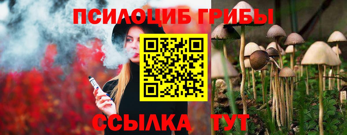 Корсаков  Галлюциногенные грибы мицелий  Вход с VPN 