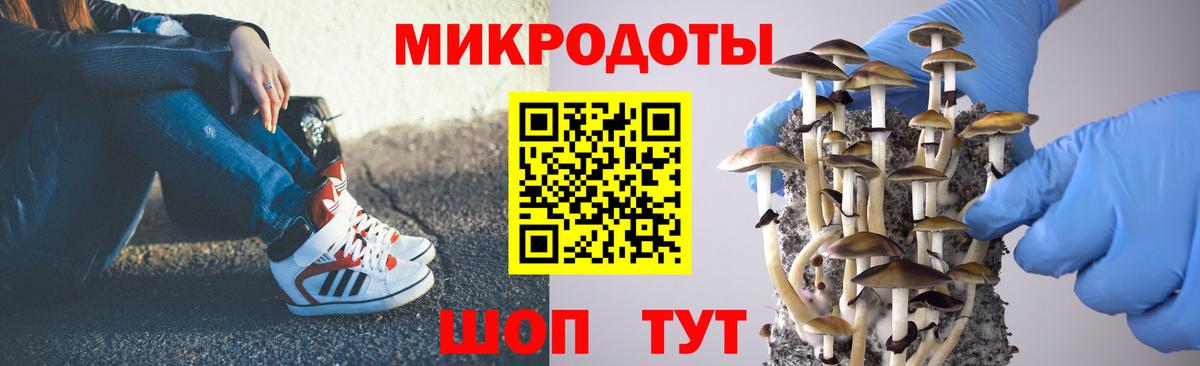 Галлюциногенные грибы мухоморы Корсаков